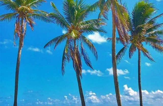 Pasos de la playa de un dormitorio -