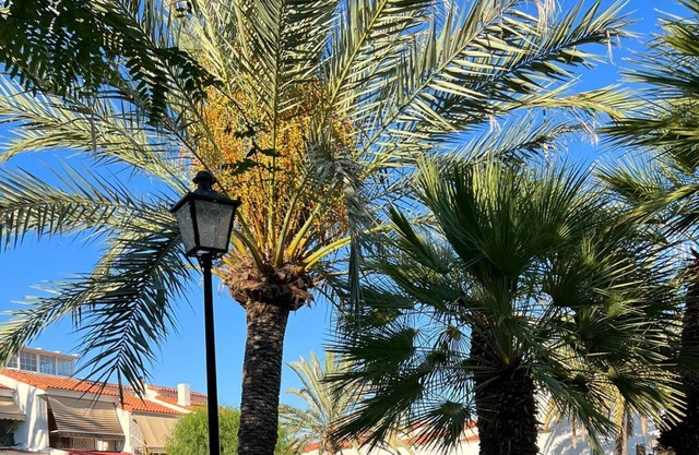 Studio Apartment 'Bungalow En Santa Pola Del Este' with a view of the mountains