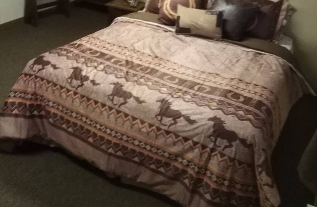 Studio apartment the Rodeo Room