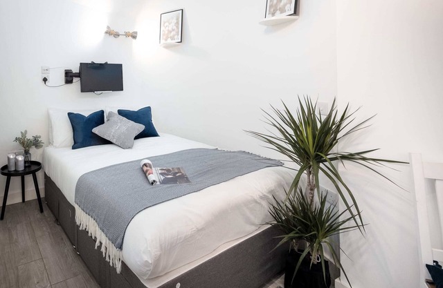 Studio Apt next Pimlico