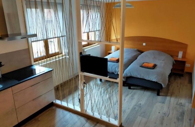 Estudio-De Lujo-Baño Privado-Vista a la Calle