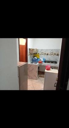 Studio drarga