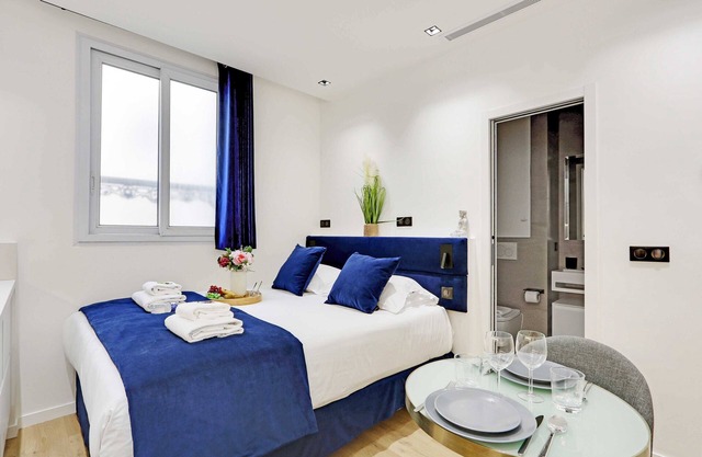 Studio ideally located in the heart of Paris