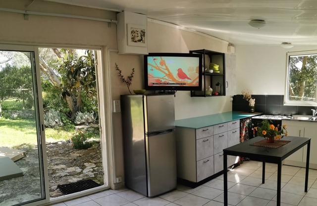 Estudio, bajo olivos en la campiña de Bonifacia