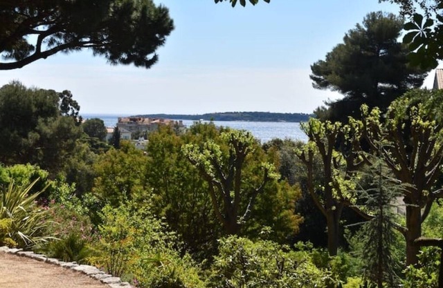 Studio with terrace, park, swimming pool, tennis court and sea 800m away