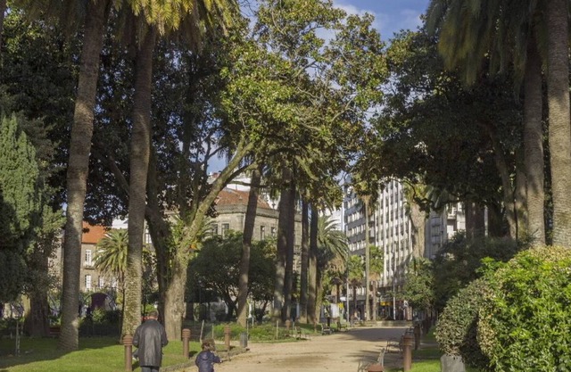 Estudio en el centro de Pontevedra