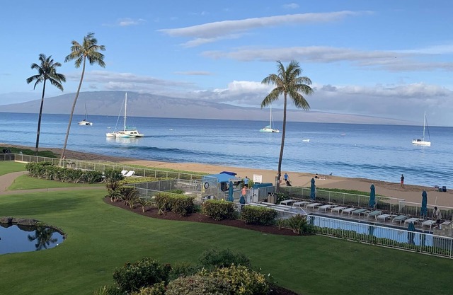 Stunning Ocean View Studio 41 de 42 reseñas ¡5 estrellas!