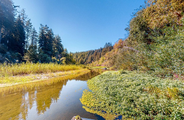 Stunning riverfront estate with hot tub, dock, & fireplace - dog-friendly