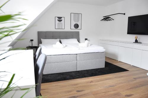 stycoz - Modern studio - Central