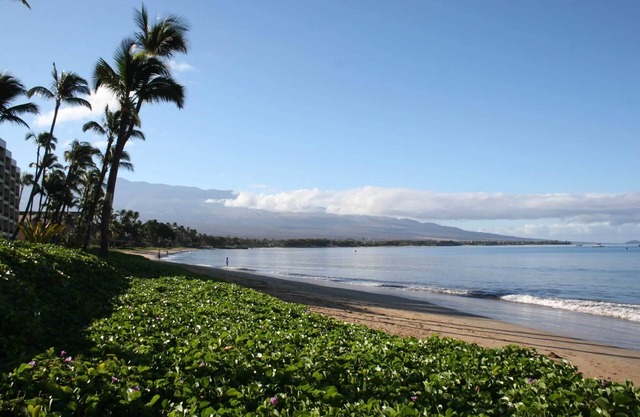 Sugar Beach Maui! Frente al mar directo! ¡Mejor vista! ¡Mejor valor!