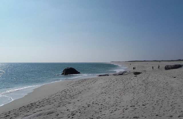 Suite "The Dunes" clasificada 4 orejas.