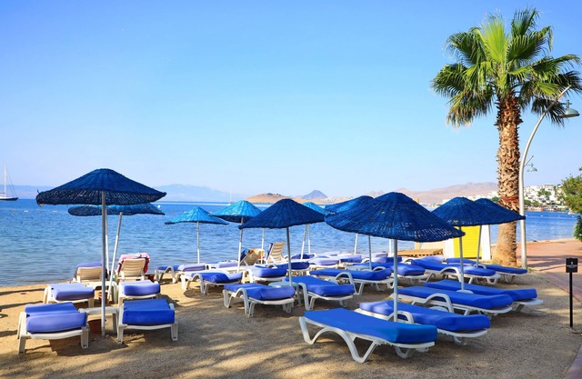 Summer in Garden Suites & Beach Hotel