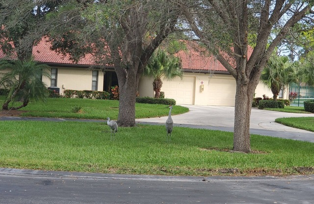 SUMMER SPECIAL LOWER PRICE. 10% MO DISC.! Beautiful Condo 10 Mins to Siesta Key
