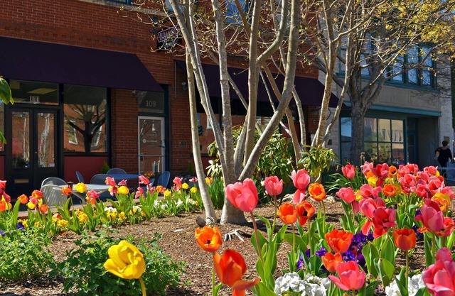 Puesta de sol en Main Street Loft. Hendersonville encantador. Transitable Aparcamiento en la calle