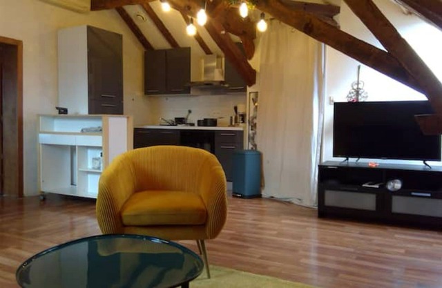 superb apartment Loire view under the roofs