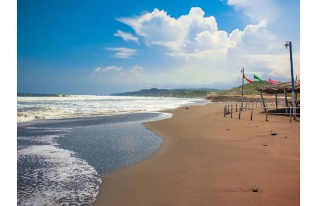 Surf City Paradise, San Blas Beach