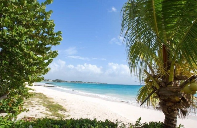 Tasteful And Spacious Interiors