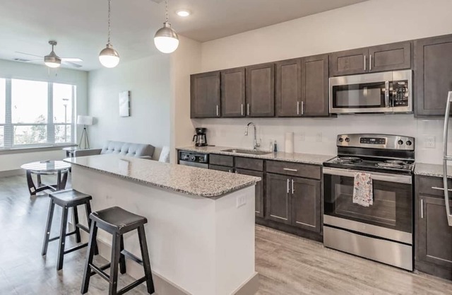 Texas Corporate Housing Solutions Professional Apt