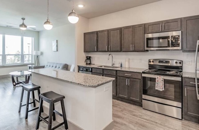 Texas Corporate Housing Solutions Professional Apt