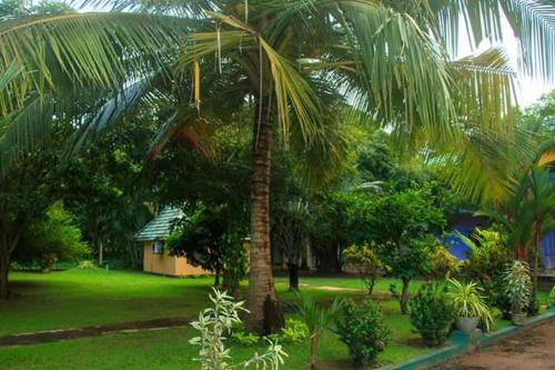 Tharindu Villa