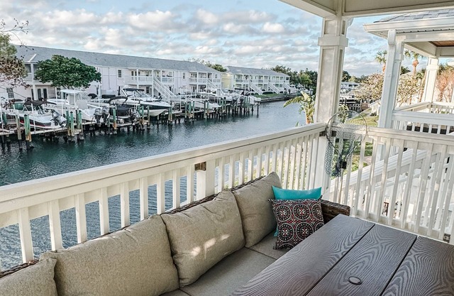 Thaw out your toes and watch the dolphins play at Winterfarm Southeast!