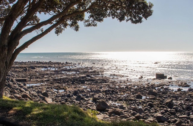 THE COASTAL COTTAGE - CENTRAL CITY LOCATION: 2 BR, 1 BA Apartment in New Plymouth, Sleeps 4