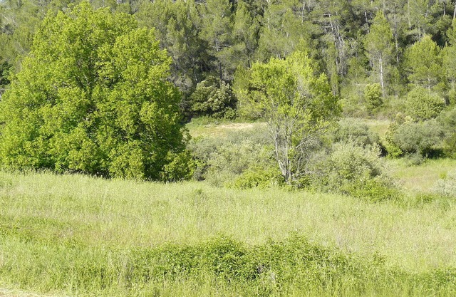 El Mazet Ecológico del Jardín de la Maravilla