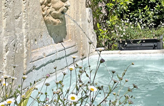 Le Petit Chateau, Piscina privada, Grandes jardines cerrados
