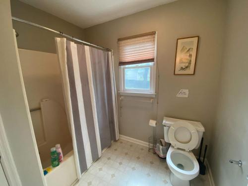 The Garnet Goliath Columbias Biggest BnB Yard