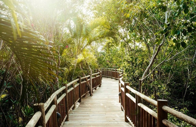 The Grand Mayan at Vidanta Riviera Maya