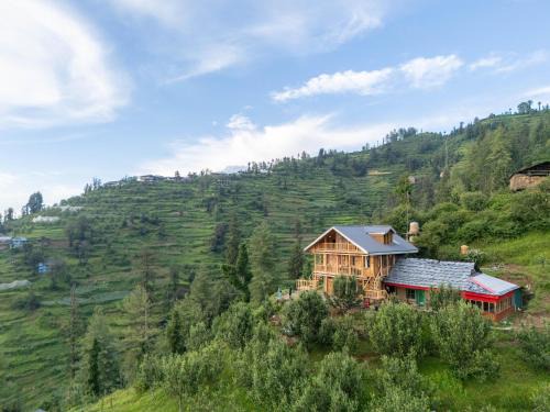 The Hidden Cabins