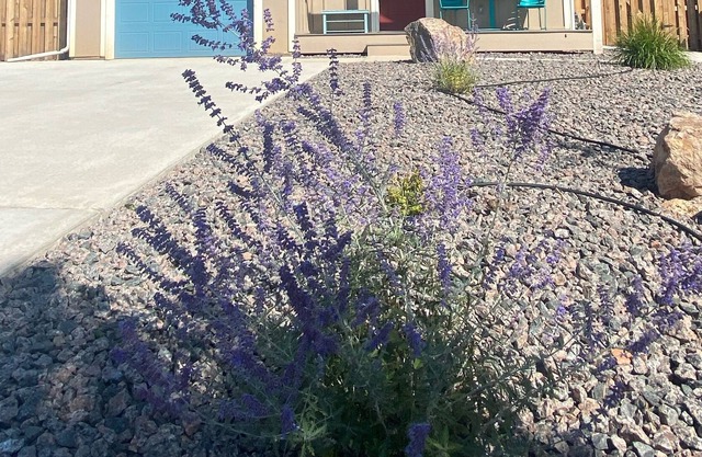 La casa de la montaña de menta