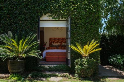 The Ivy Studio