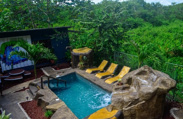 The Jungle Container