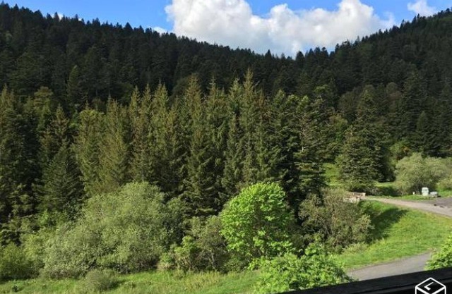 El Lioran, bonito estudio con balcón, frente a las pistas