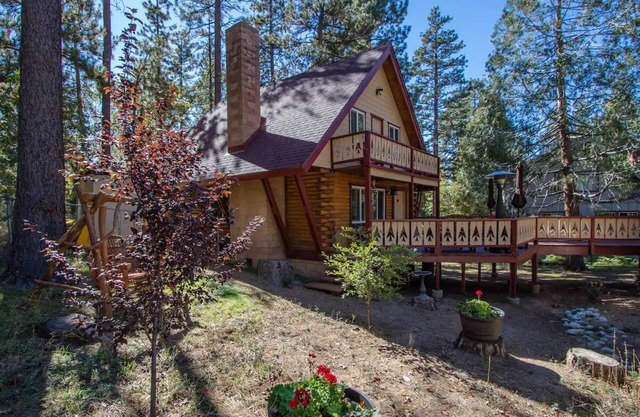 THE LODGE on San Jacinto Spa, A/C & Dog Friendly! Adventure Passes provided!