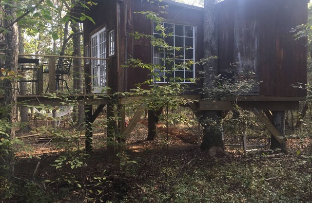 Casa del árbol aislada "The Nest" cerca del aeropuerto de Nashville