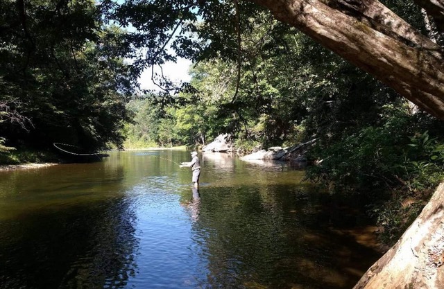 El Overlook en South Toe río
