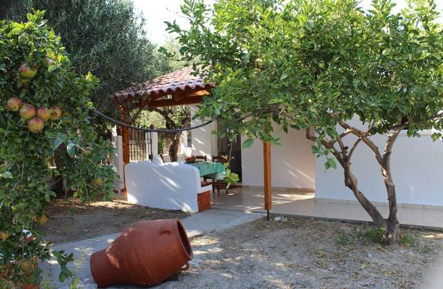 El oasis perfecto!