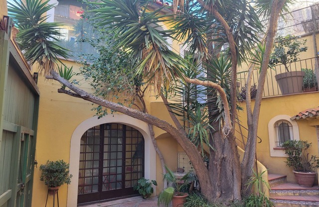 The Saint Jacques patio