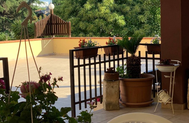 Sara's Cottage among the Olives