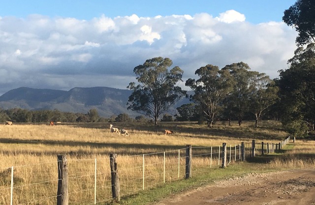 El cobertizo del leñador en Hunter Valley