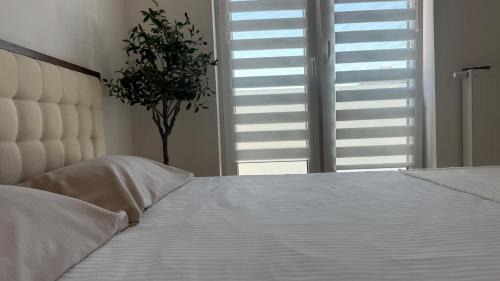 TIMELESS Apartment