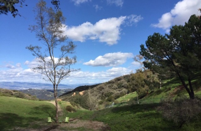 Topanga Mountain Paradise - una escapada de ensueño