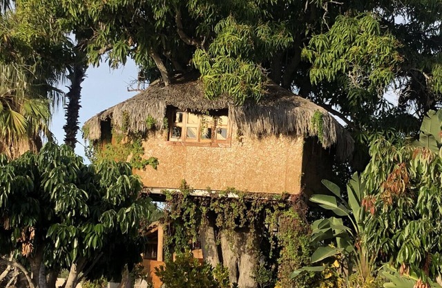 CASA ÁRBOL ubicada en Rancho Danza del Sol