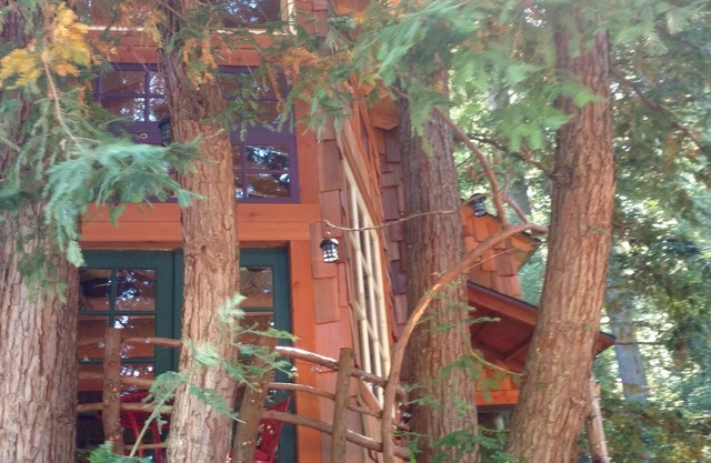 Casa del árbol en las montañas de Santa Cruz, secoyas, playas y Silicon Valley