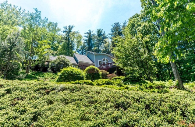 Treetop Asheville casa con Mtn. Puntos de vista