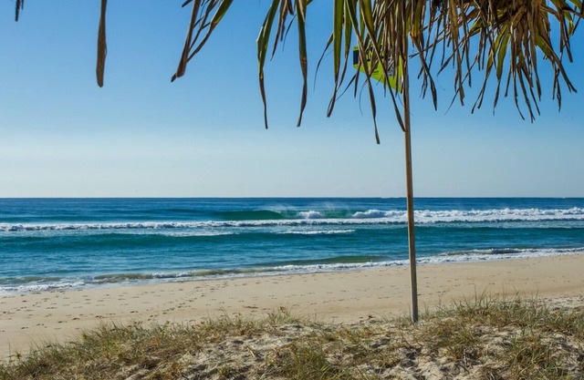 Oasis Tropical por el océano - la diversión familiar