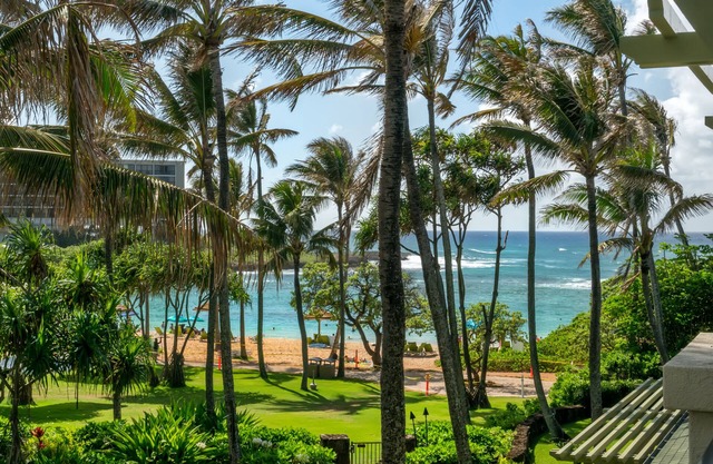 Turtle Bay Oceanview Beachfront 3 habitaciones
