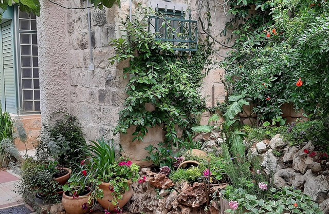 Two stand-alone flats Galilee Sea Mountains View, BBQ, WiFi, Air Conditioner